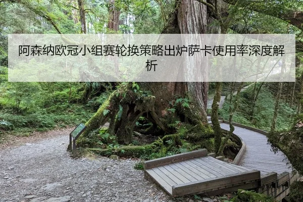 阿森纳欧冠小组赛轮换策略出炉萨卡使用率深度解析